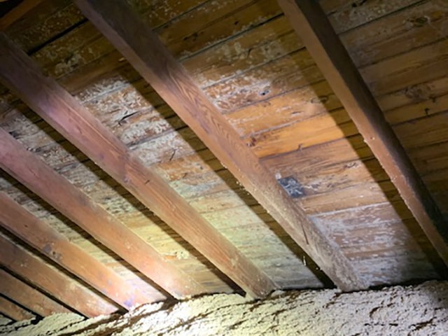 Mold build up in a soffit vent